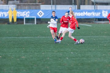 Bild 282 - wBJ Hamburger SV - Holstein Kiel : Ergebnis: 8:0